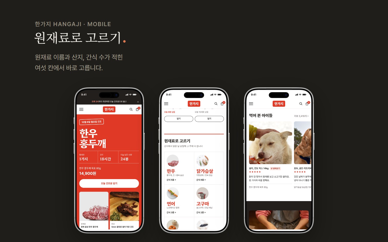 한가지 HANGAJI 반려견 수제간식 쇼핑몰 디자인 화면 3